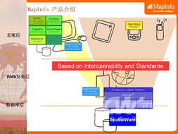 MapInfo位置服务智能解决方案 信息系统集成服务的创新实践